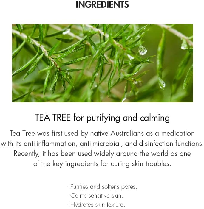 Dr.Ceuracle Tea Tree Purifine Green Up Sun SPF50+ PA++++ 50mL