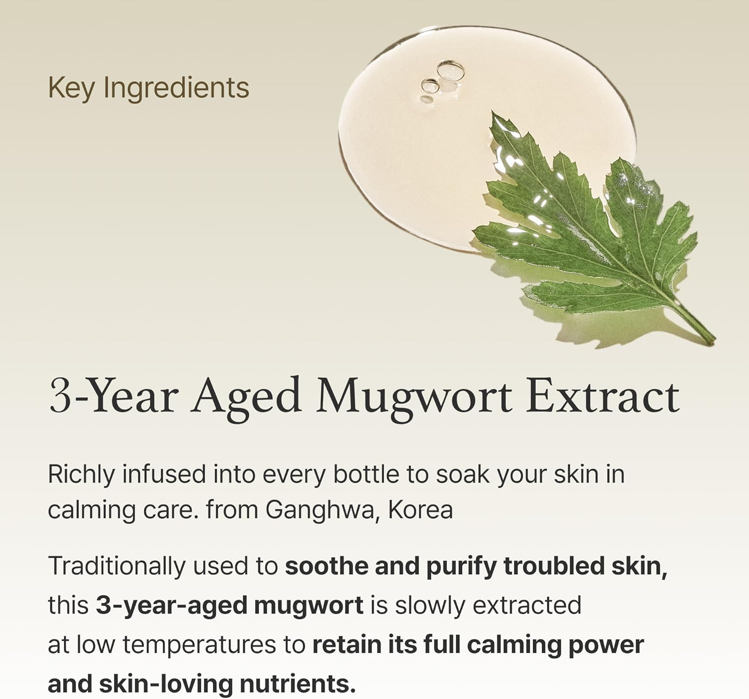 I'm From Mugwort Essence 160 mL