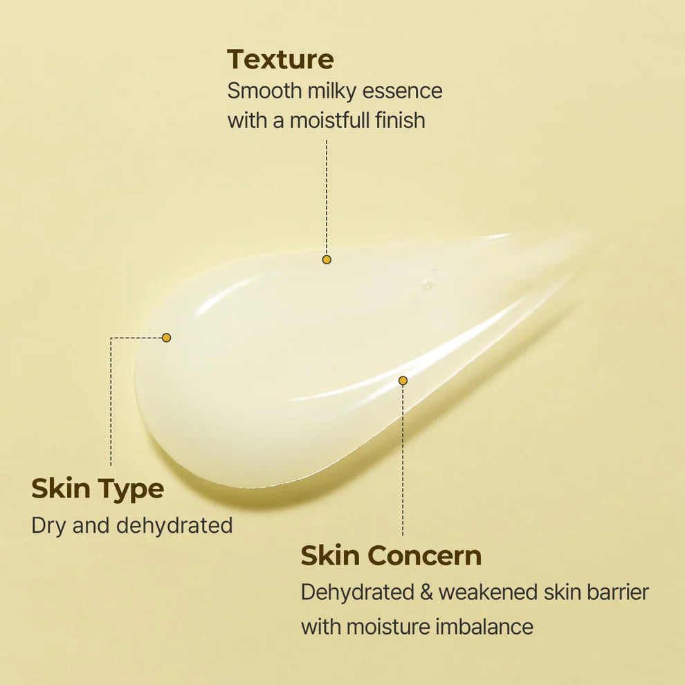 TORRIDEN Solid In Essence 100 mL
